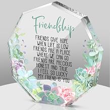 Spiareal Gift for Friend Friendship Women Friend Friendship Birthday Cheer up Gift Acrylic Heart Butterfly Keepsake Paperweight for Home Office Table Shelf(Succulent)