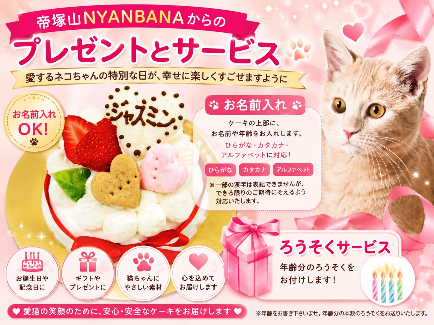 Amazon.co.jp: 猫用誕生日ケーキ 無添加・安心安全 ラブリーモコ 3号