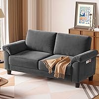 Vesgantti 70" Grey Velvet Loveseat Sofa, Mid-Century Modern Deep Seat Couch for Small Spaces, Removable Washable Covers, Spring Cushions