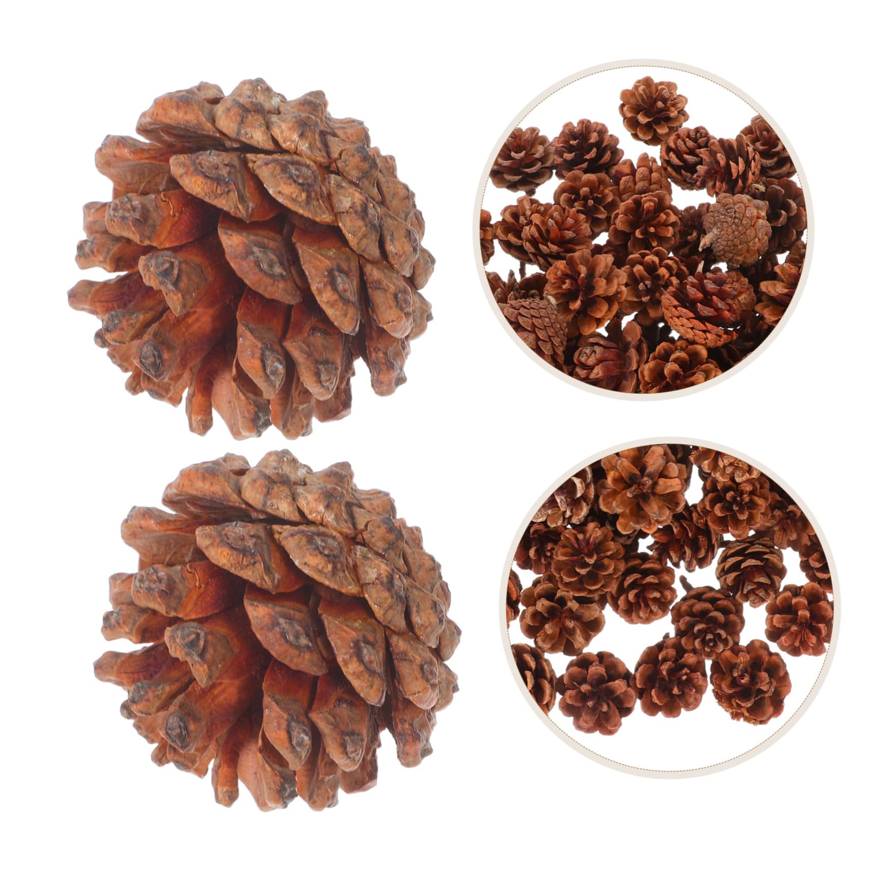 Levemolo Mini Piñas Navideñas Naturales De 3-4 Cm 130 Unidades para Manualidades Otoñales y Decoraciones DIY Piñas para Jarrones, Acción De Gracias, Bodas e Invierno