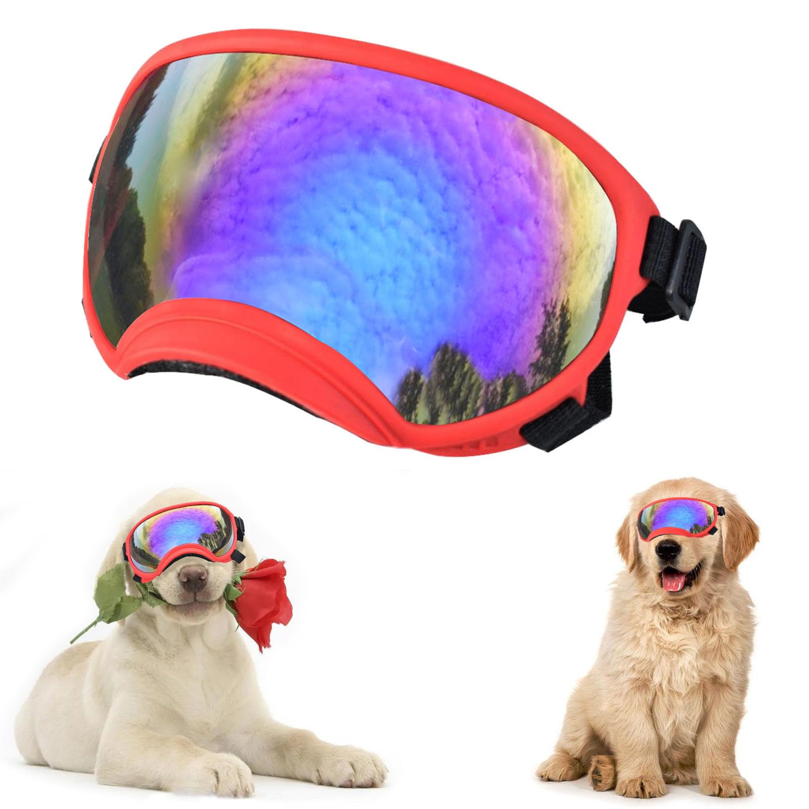 Lunettes de soleil pour chien contre le vent et la poussière taille S