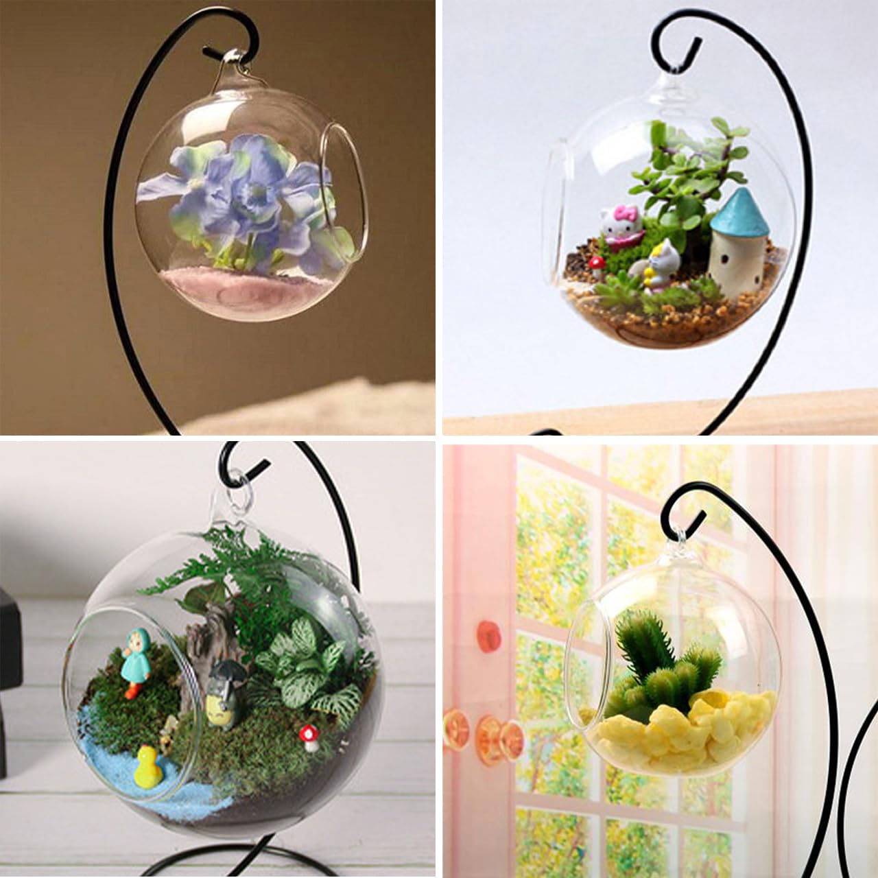 Amazon.co.jp: [Queen-b] ガラス ボール 吊り下げ スタンド付き 植物  