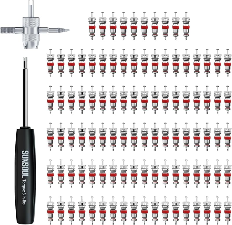 102PCS Schrader Tire Valve Cores with 4-Way Valve Core Removal Tool | Easy to Install, Nickel Plated Surface, 100% Leakage Tested, Max 300 PSI, Fits Car, Motorcycle, ATV, RV, Bicycle