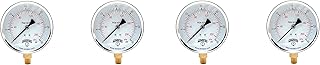 Winters Instruments - PEM221 -221 PEM Series Steel Dual Scale Economical All Purpose Pressure Gauge with Brass Internals, 0-30 psi/kpa, 4