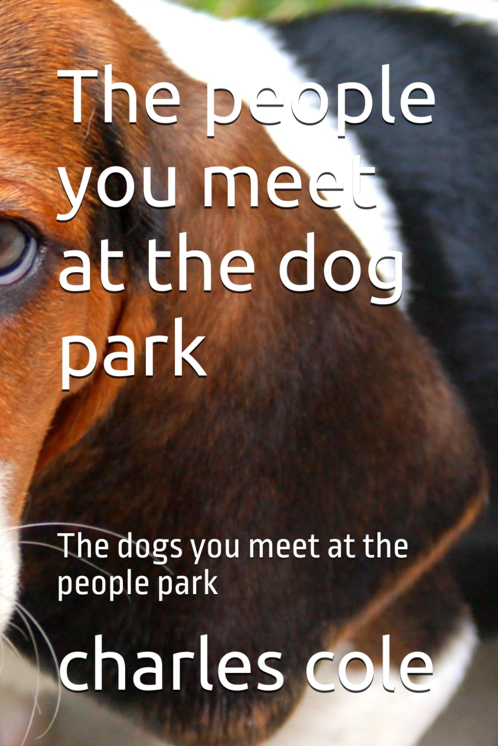 The people you meet at the dog park: The dogs you meet at the people park