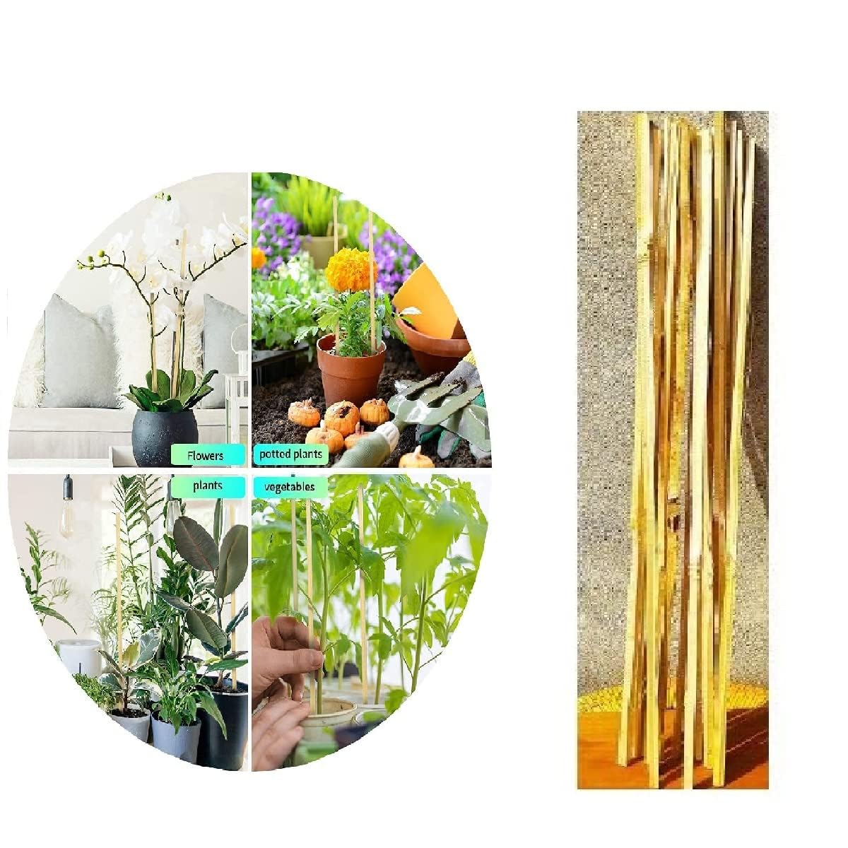 See full amazon price history chart for Plant Climber Support 3 ft (14 Sticks) Plant Climber Support 3 ft (14 Sticks) (B0CCZ1YRFM) Amazon Price History, Amazon Price Tracker