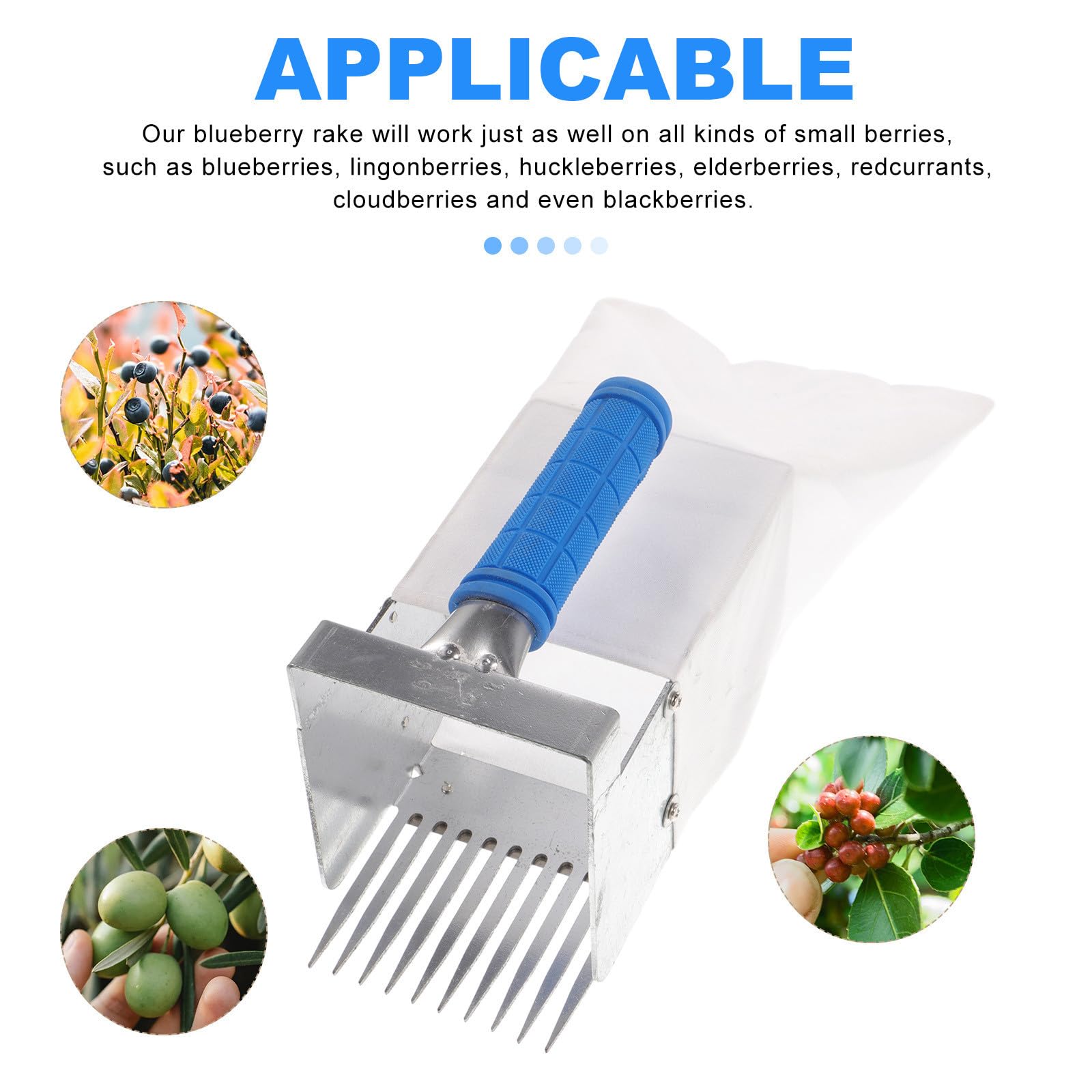 SHERCHPRY Recolector Portátil de Frutas Pala para Arándanos, Herramienta Dentada para Aficionados, Adecuado para Recolección en Huertos Familiares Color Aleatorio