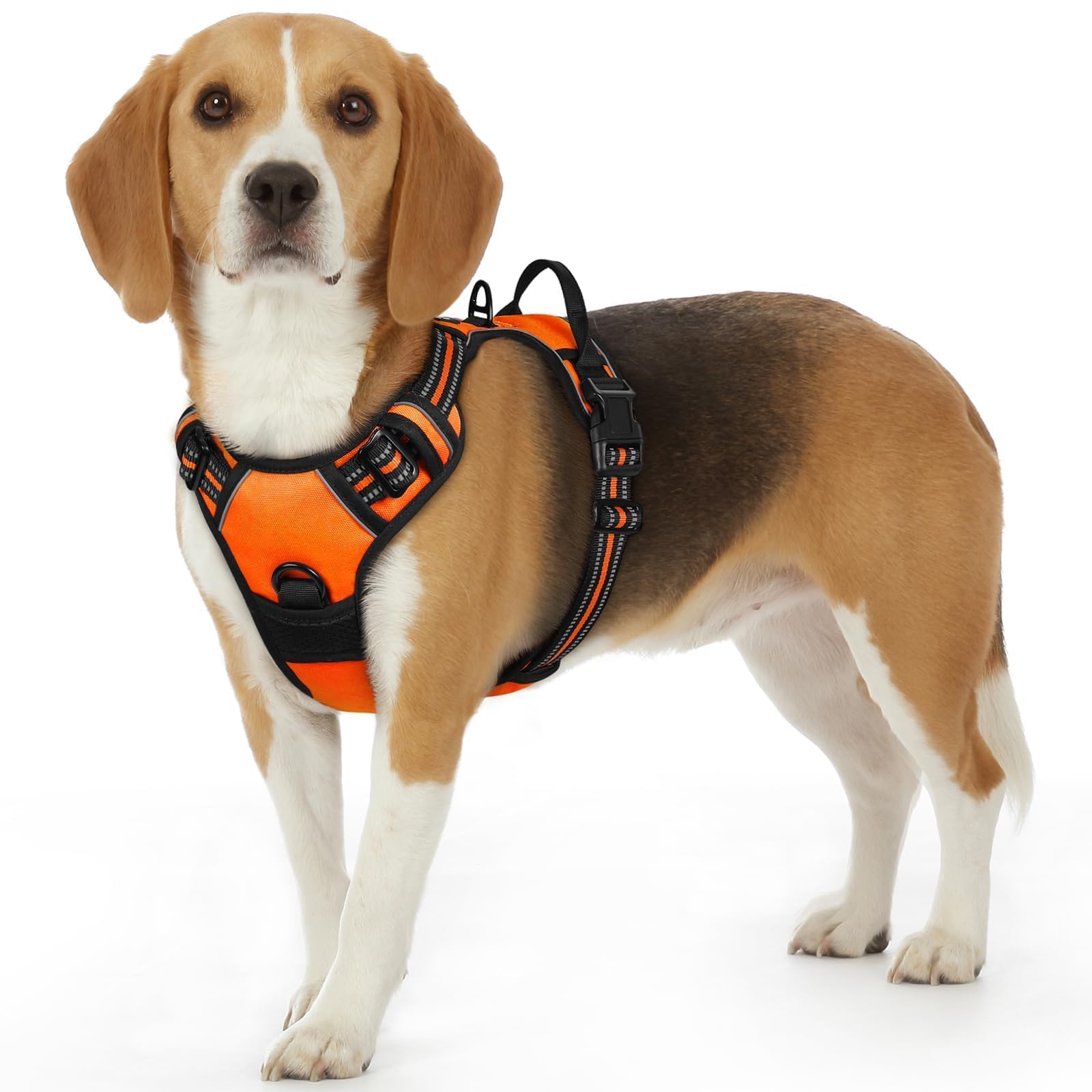 Eagloo Dog Harness for Small Dogs, No Pull Pet Vest with 2 Leash Clips