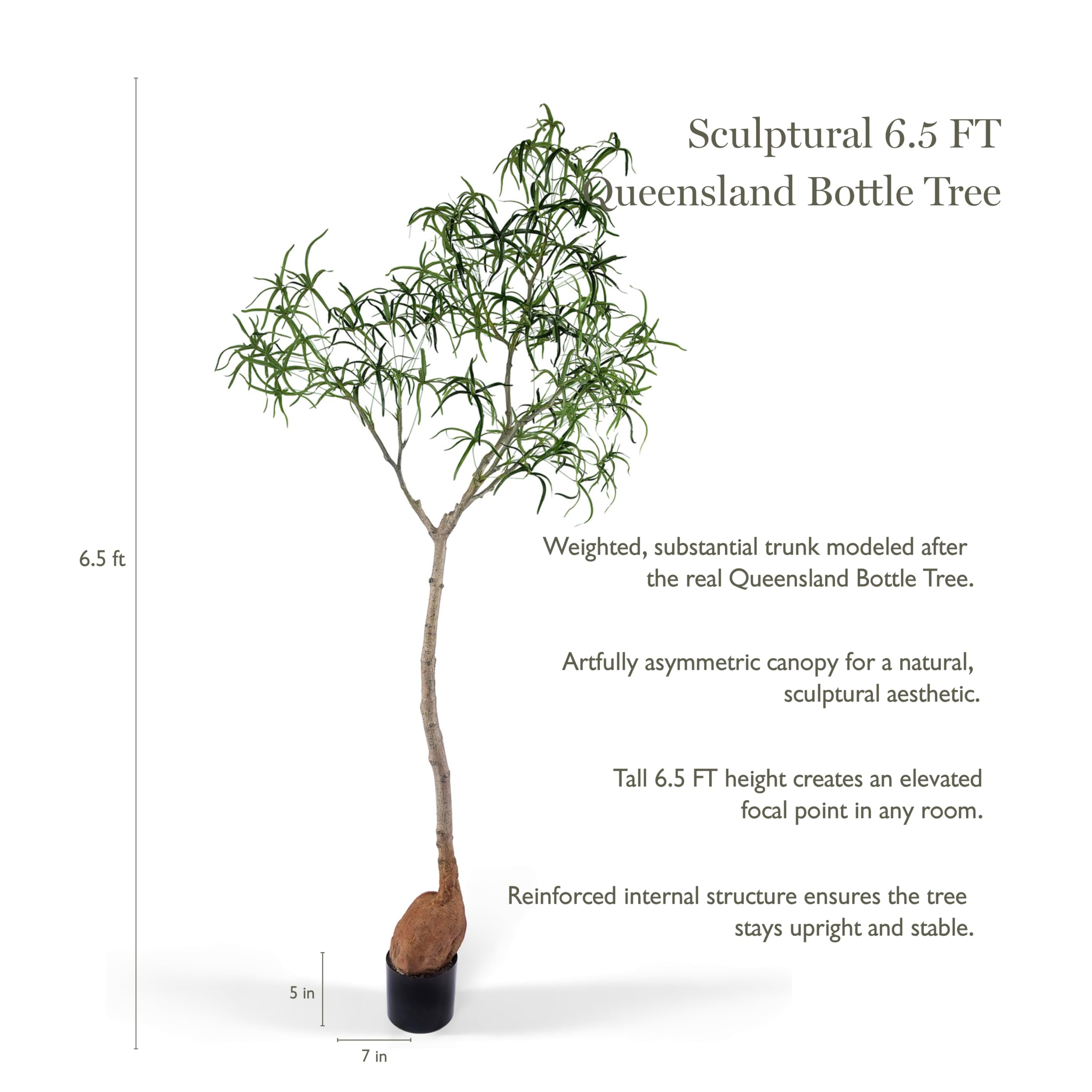 Amazon.com: Everleaf 6.5FT Queensland Bottle Tree, Sculptural Faux