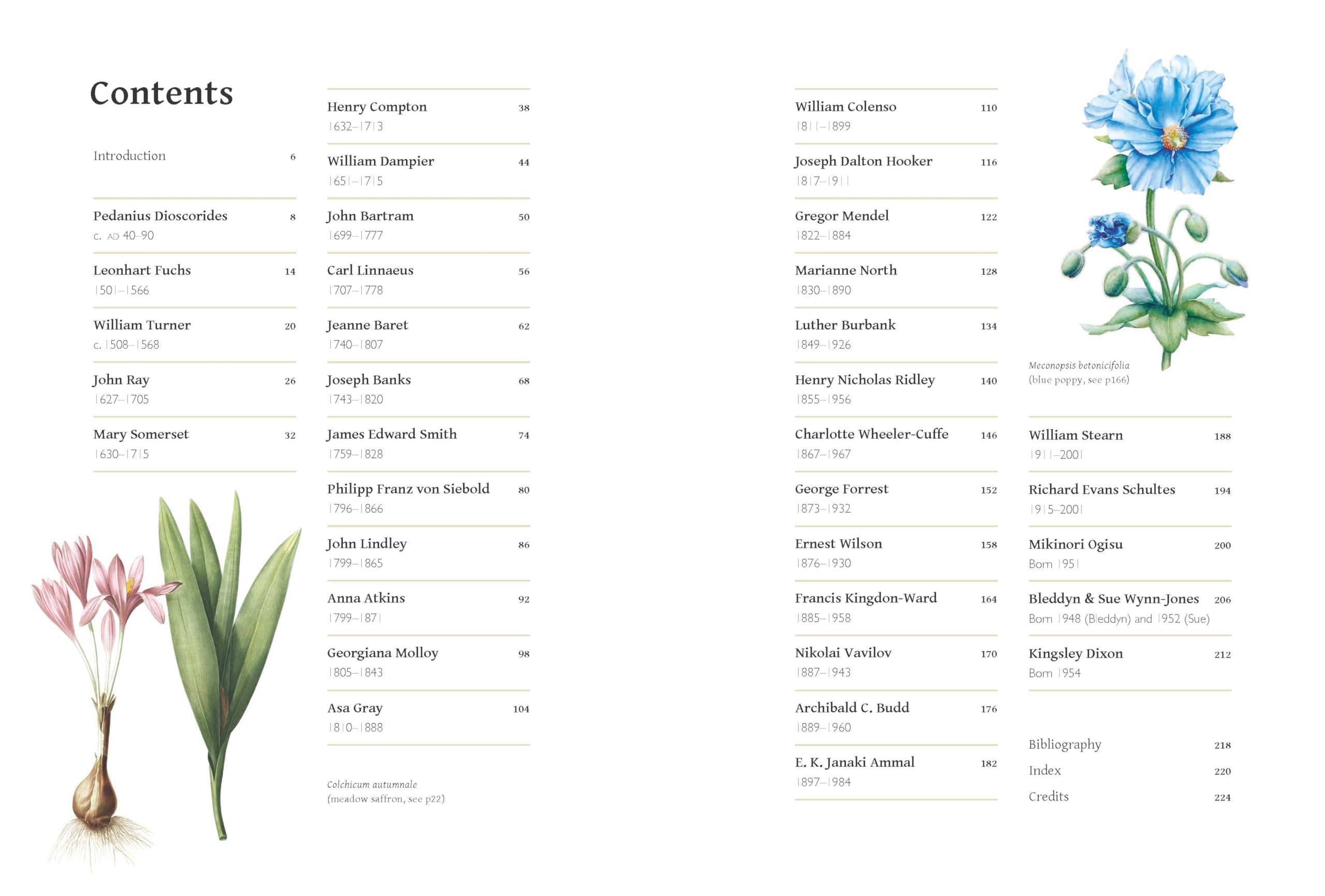 The Secrets of Great Botanists: What They Teach Us about Gardening