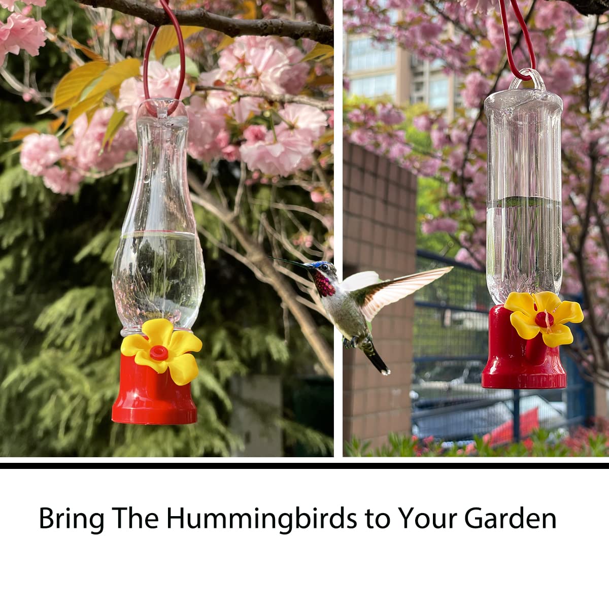 RKSTN Mangeoires Pour Colibris Pour Extérieur Mangeoire Pour Oiseaux