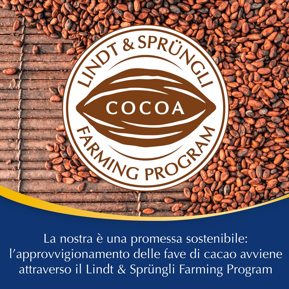 Lindt Tavoletta Classica Cioccolato al Latte, formato 100g - 15 pezzi