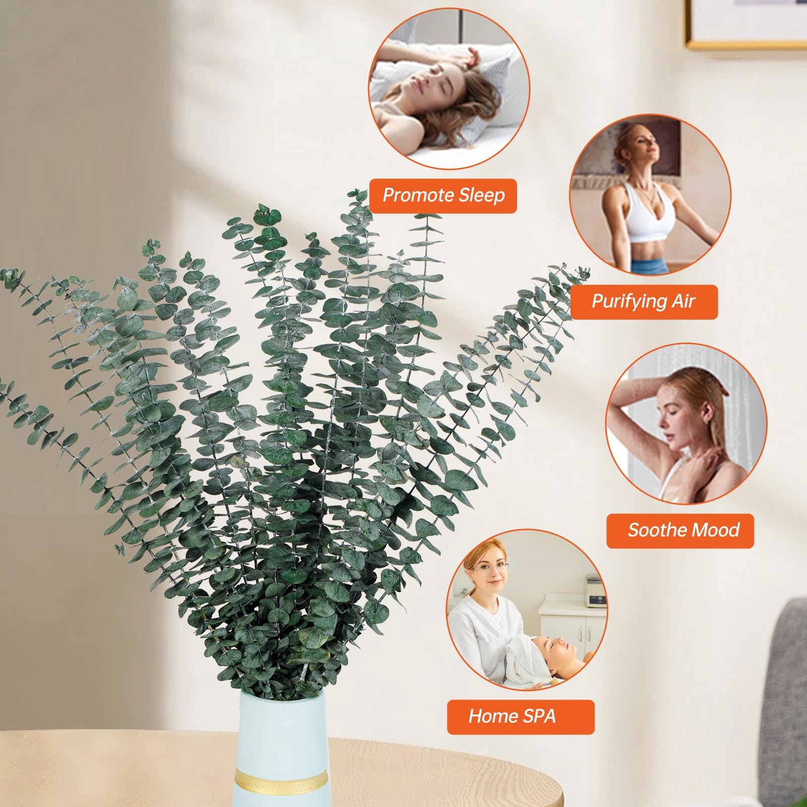 Lot de 30 tiges d'eucalyptus séchées pour suspension de douche, décoration