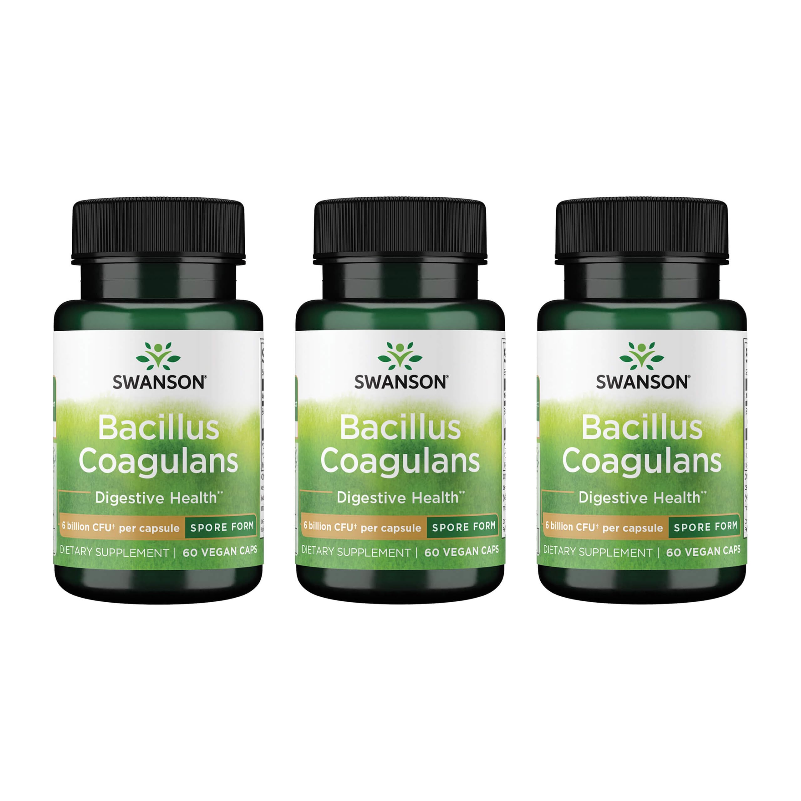 Swanson Bacillus Coagulans Probiotic, 6 Billion CFU, 60 Veg Caps, 3 Pack 60 Count (Pack of 3)