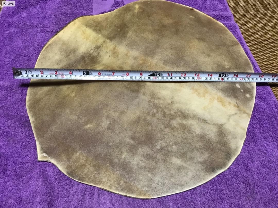 キューバ産コンガ　フラットヘッド　02 キューバ産コンガ用フラットヘッド キューバ産コンガ フラット