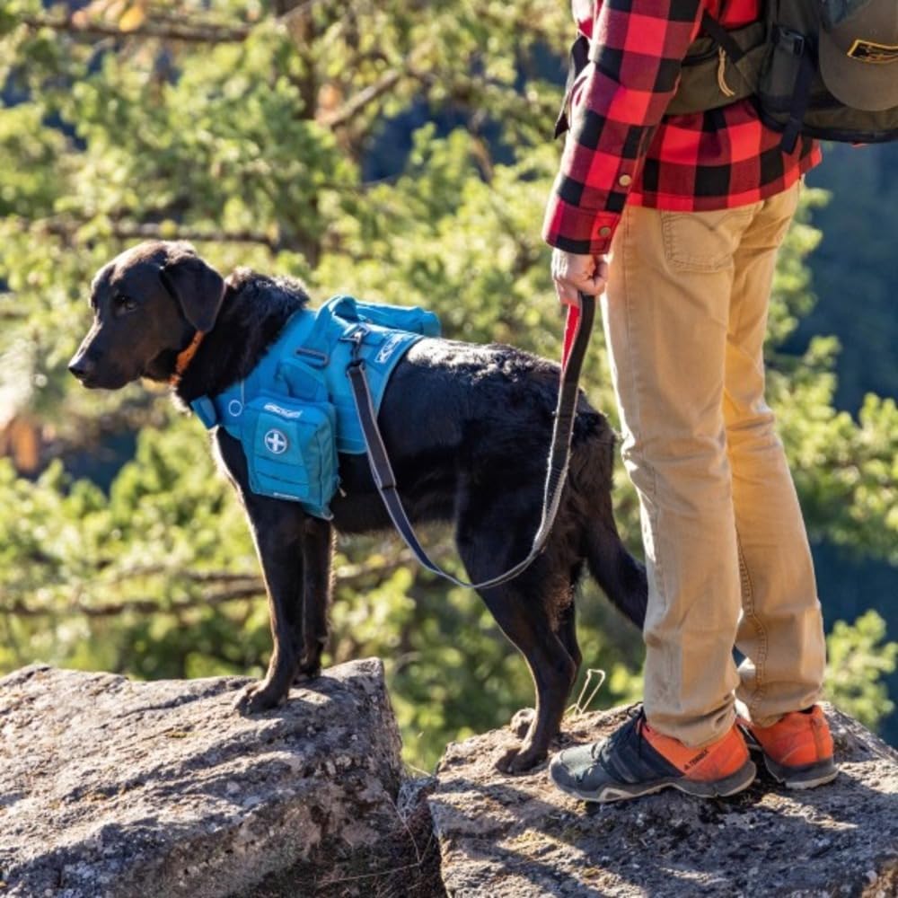 Kurgo RSG Erste-Hilfe-Set für Hunde - Kompakte Erste-Hilfe-Ausrüstung für den Notfall - 49 Teile - MOLLE-kompatibel - Überlebensausrüstung für Haustiere - Auto & Wander Zubehör - Schneller Zugriff