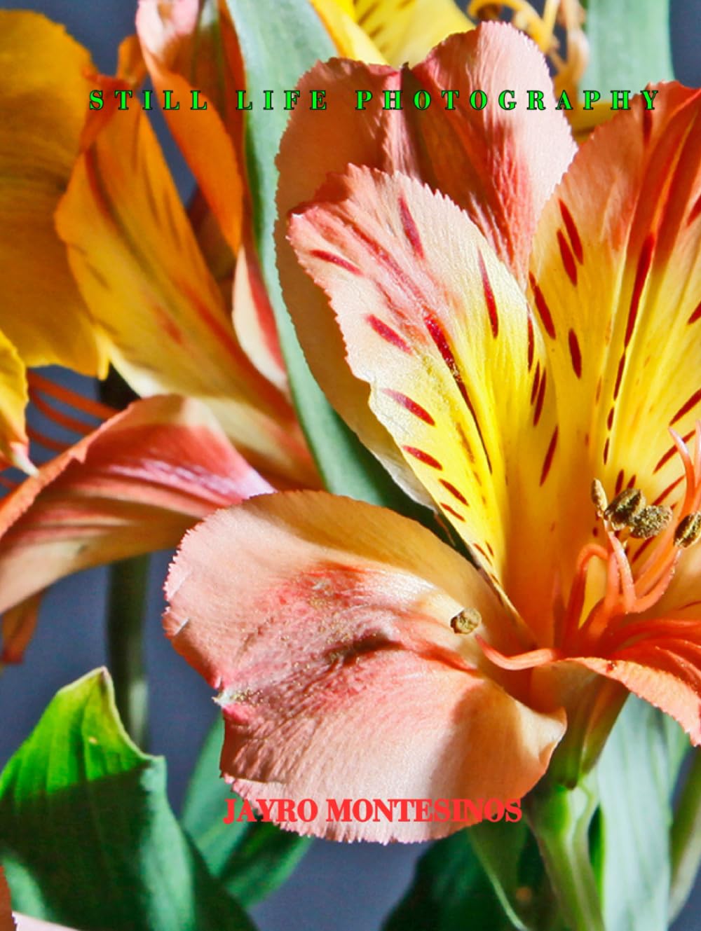 Still life photography livre art photo nature morte moments eternels