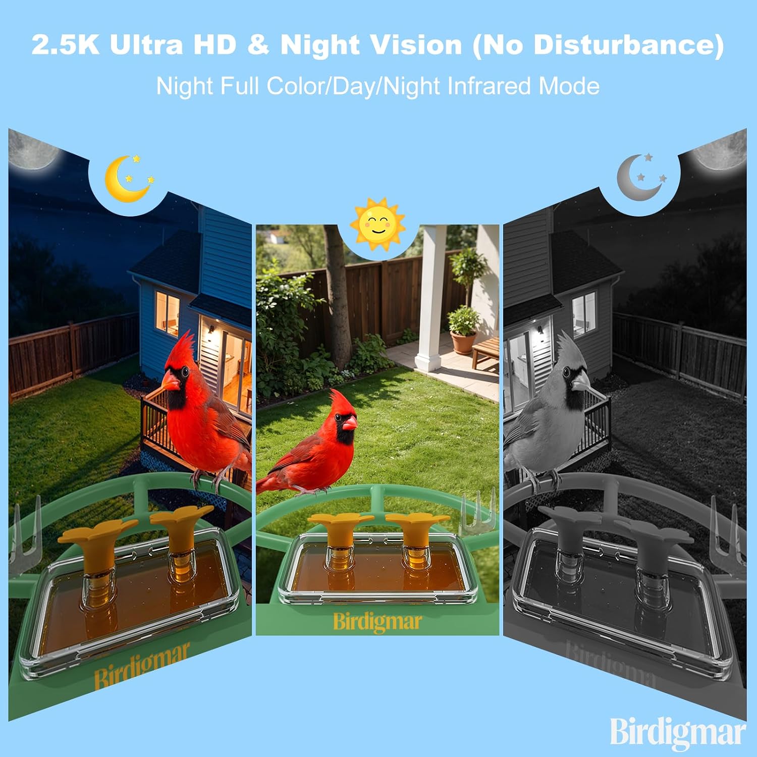 Bird Feeder with Camera,Smart Solar Power, AI Identification & 2.5K Ultra HD Video–Dual Band WiFi 2.4G/5G,Wireless Outdoor Bird Watching Feeder,Weatherproof, ldeal Gift for Bird Lovers,Green