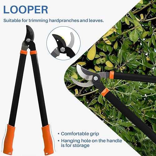 Miniatura 4 de ECOOPTS Juego de herramientas de jardín de 3 piezas con podadora, tijeras de setos y podadora de derivación, kit de cuidado de árboles y arbustos de