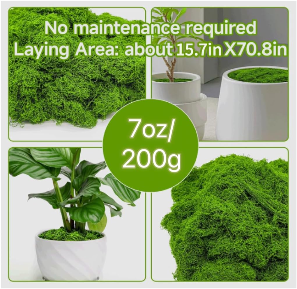 Aspamms Fake Green Moss for Potted Plants Indoor, 7oz Artificial Moss for Crafts, Faux Moss Decor for Fairy Garden, DIY Decorative, Model Making, Walls, Glass Containers, Home