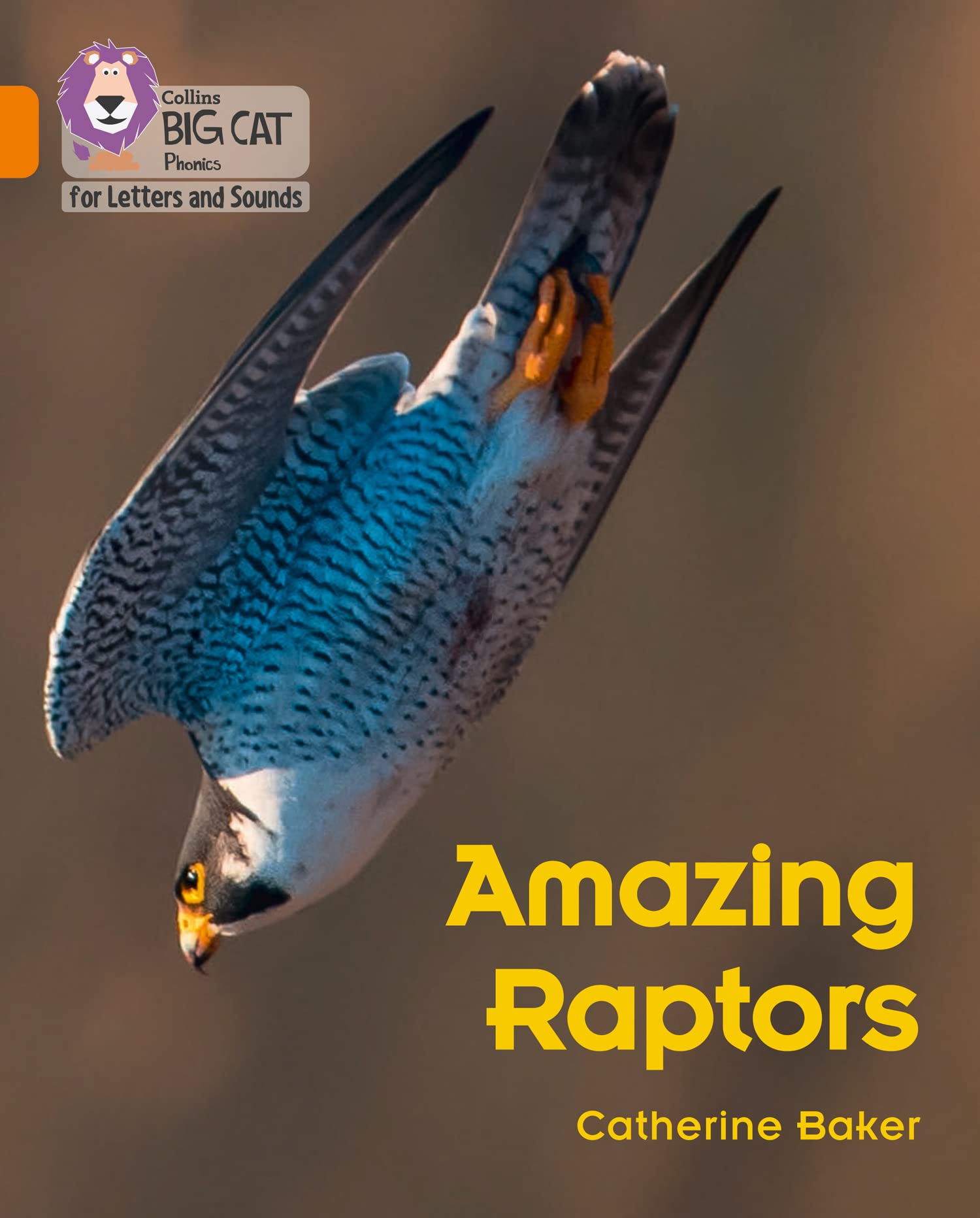 BIG CAT L&S_AMAZING RAPTORS Band 06/Orange by Catherine Baker (Paperback Book)