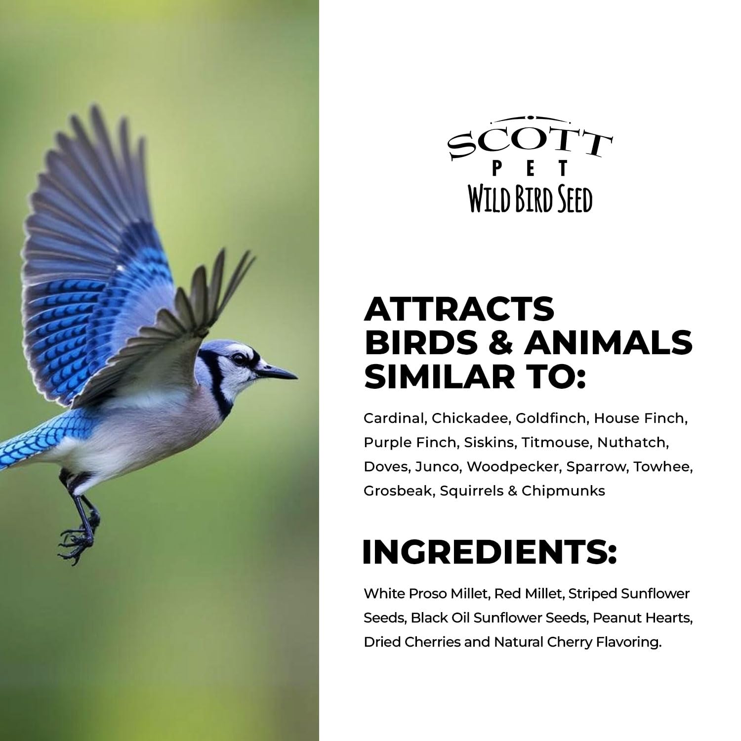 Scott Pet 159212 No.9 Semilla de pájaro silvestre de nuez y cereza