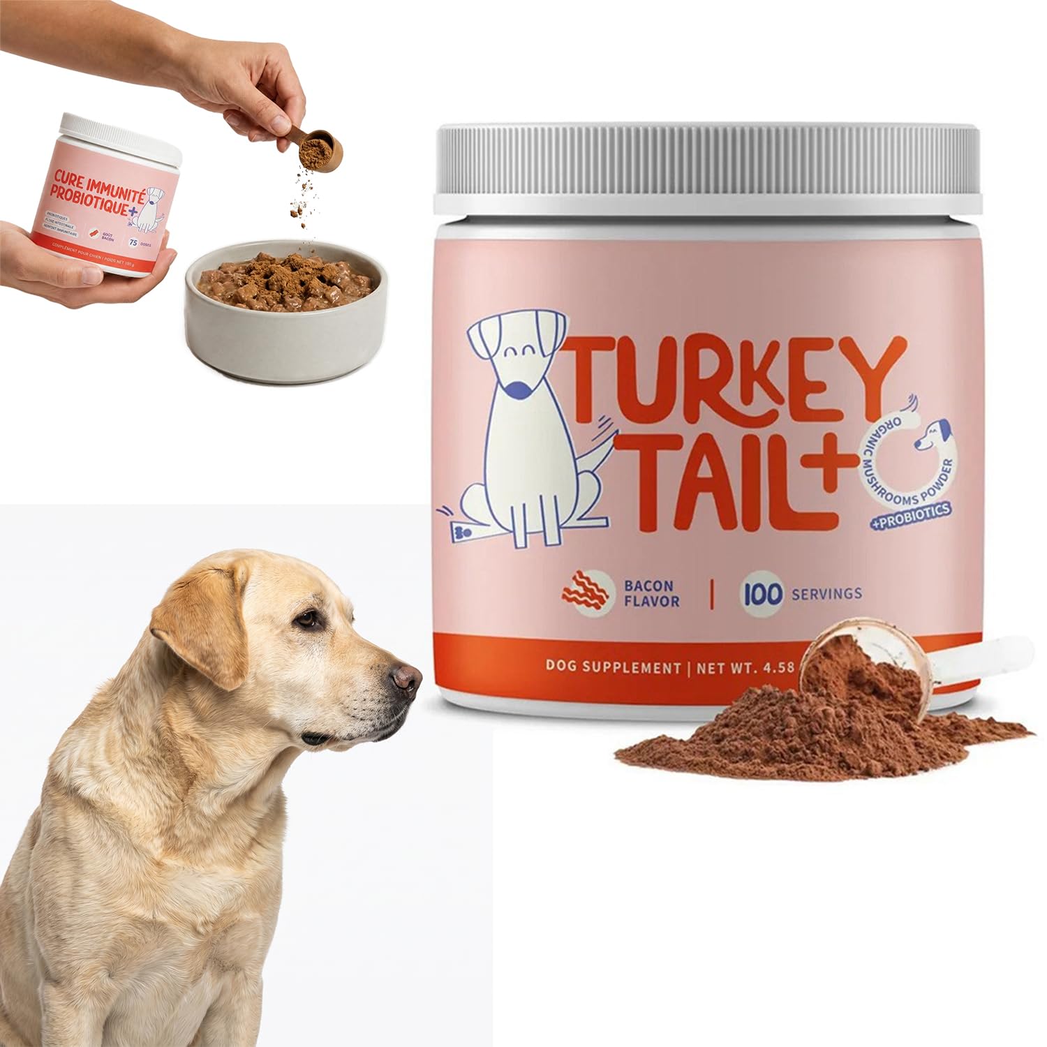 Cure Immunité Probiotique+ Chien – Complément Alimentaire Vétérinaire – Digestion, Flore Intestinale & Vitalité – Saveur Bacon – Poudre à Saupoudrer sur Croquettes