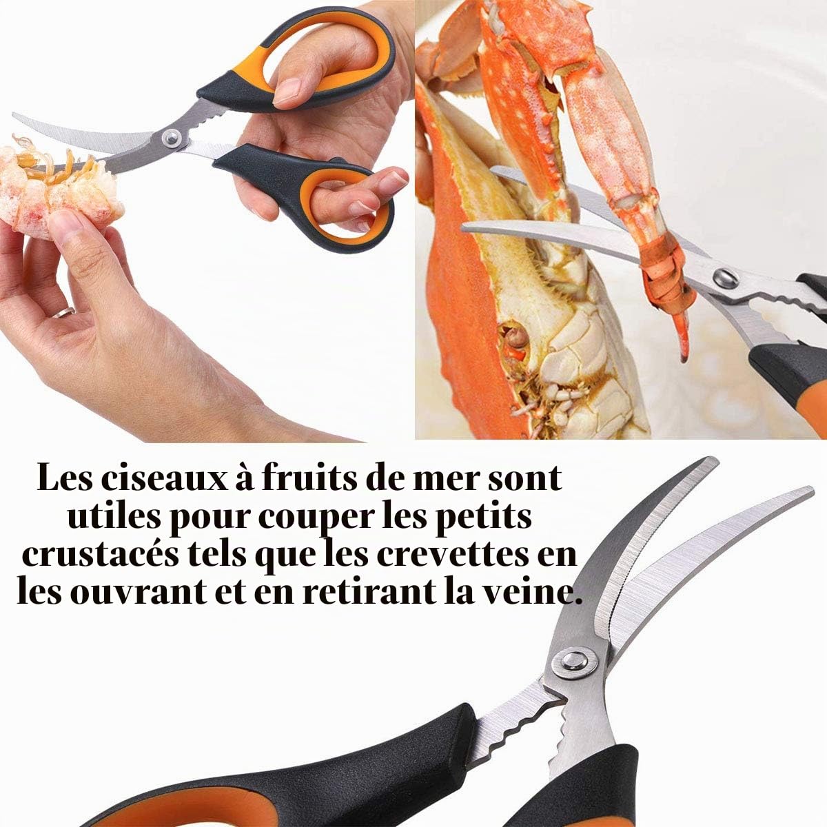 Artcome Lot de 10 outils pour fruits de mer : 2 cassecrabes, 2 coquillages à homard, 2 fourchettes à fruits de mer, 2 fourchettes à crabe larges, 1 paire de ciseaux à fruits de mer et 1 sac de