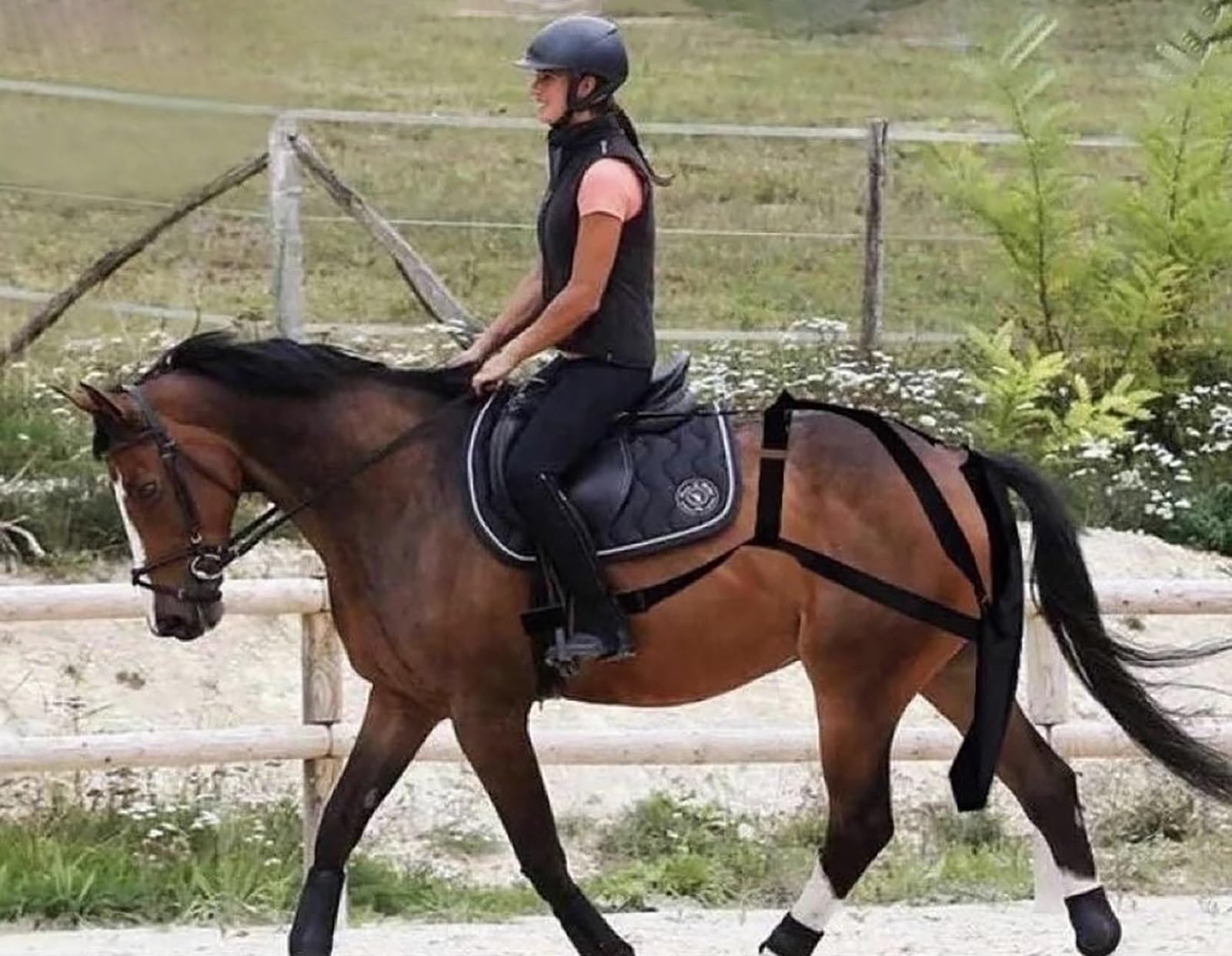 Fasce Per Cavalli Horses - Protezione E Riposo Dopo Allenamento - Foto 5