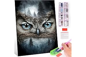 ROOHOME Owl Abstract Lndscape 5D Diamond Painting Kits for Adults