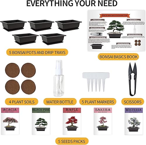 Miniatura 2 de Kit de árbol bonsái con herramientas completas de cultivo de plantas, kit de inicio de árbol bonsái para interiores, jardinería en el hogar, regalo