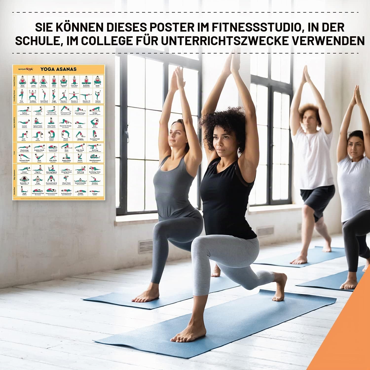 SPORTAXIS laminierte Workout-Poster für daheim ohne Geräte, Farbabbildungen, Bodyweight-Grund-/Aufbauübungen, Yoga, Abs-Training für Männer und Frauen, 45,7 x 68,6 cm, 5 Stück, englische Version