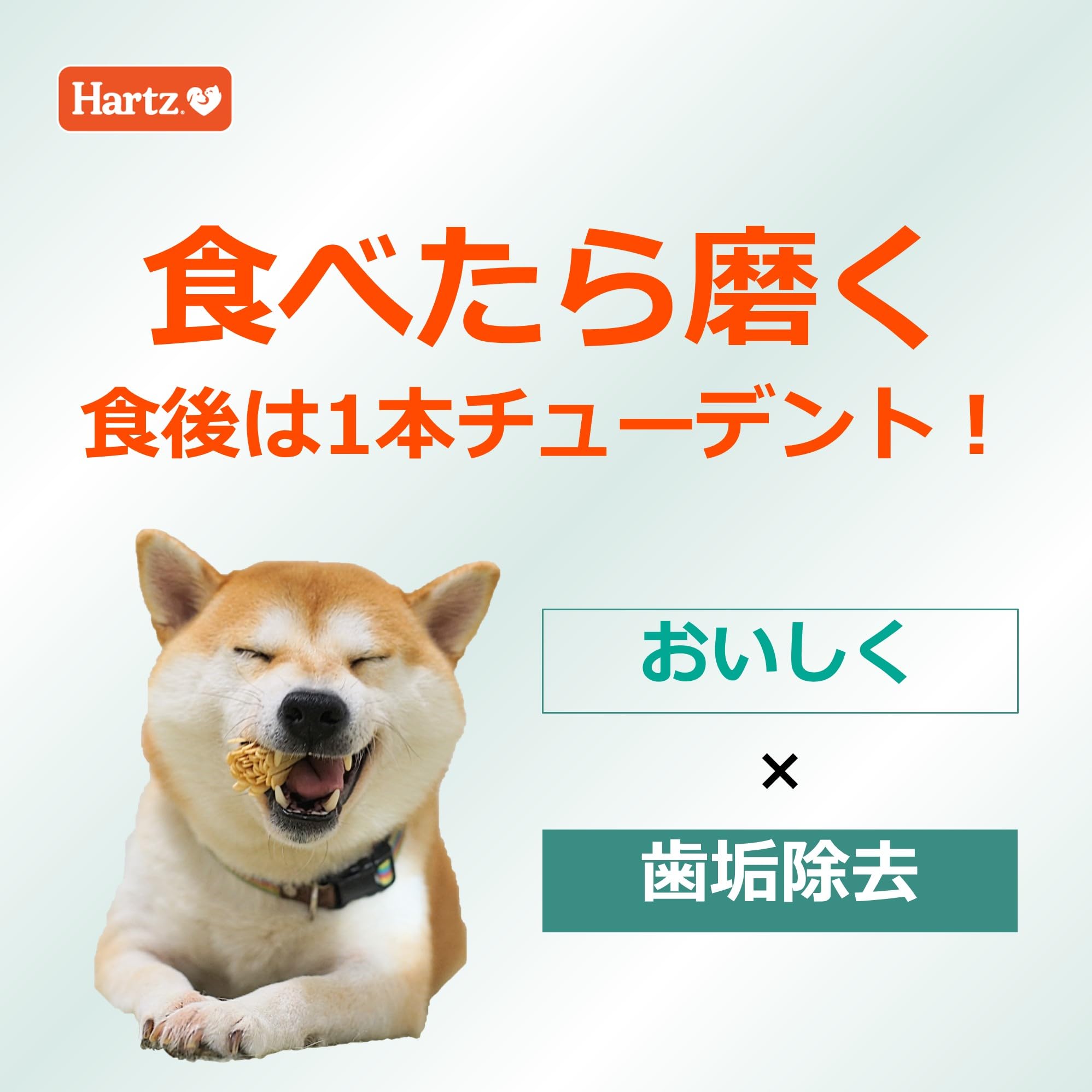 チューデント 20袋セット チューデント 20袋