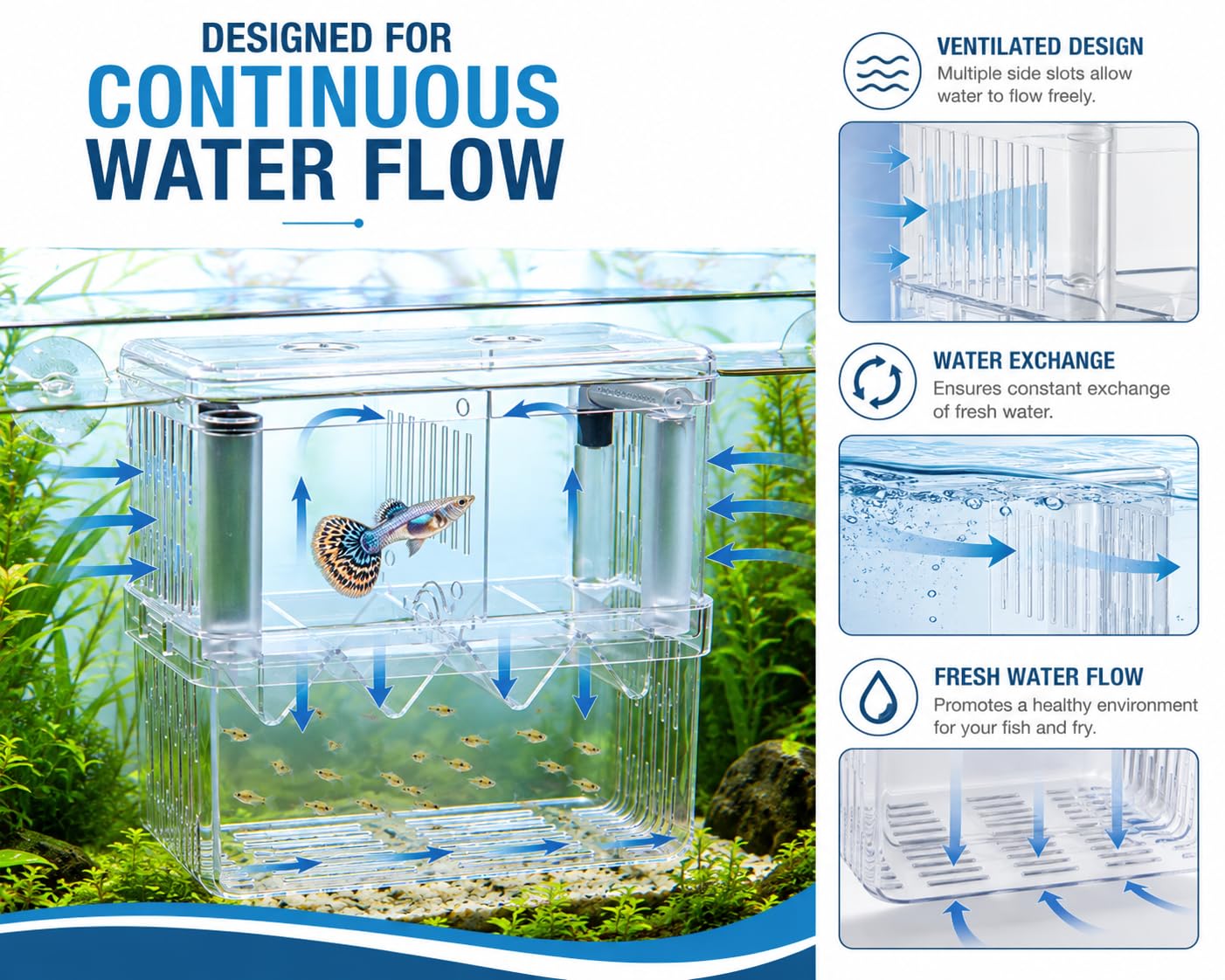 Scroll Store Aquarium Double Deck breeding Box for Fish | Isolation Box for Fish and Shrimp (Large) 2