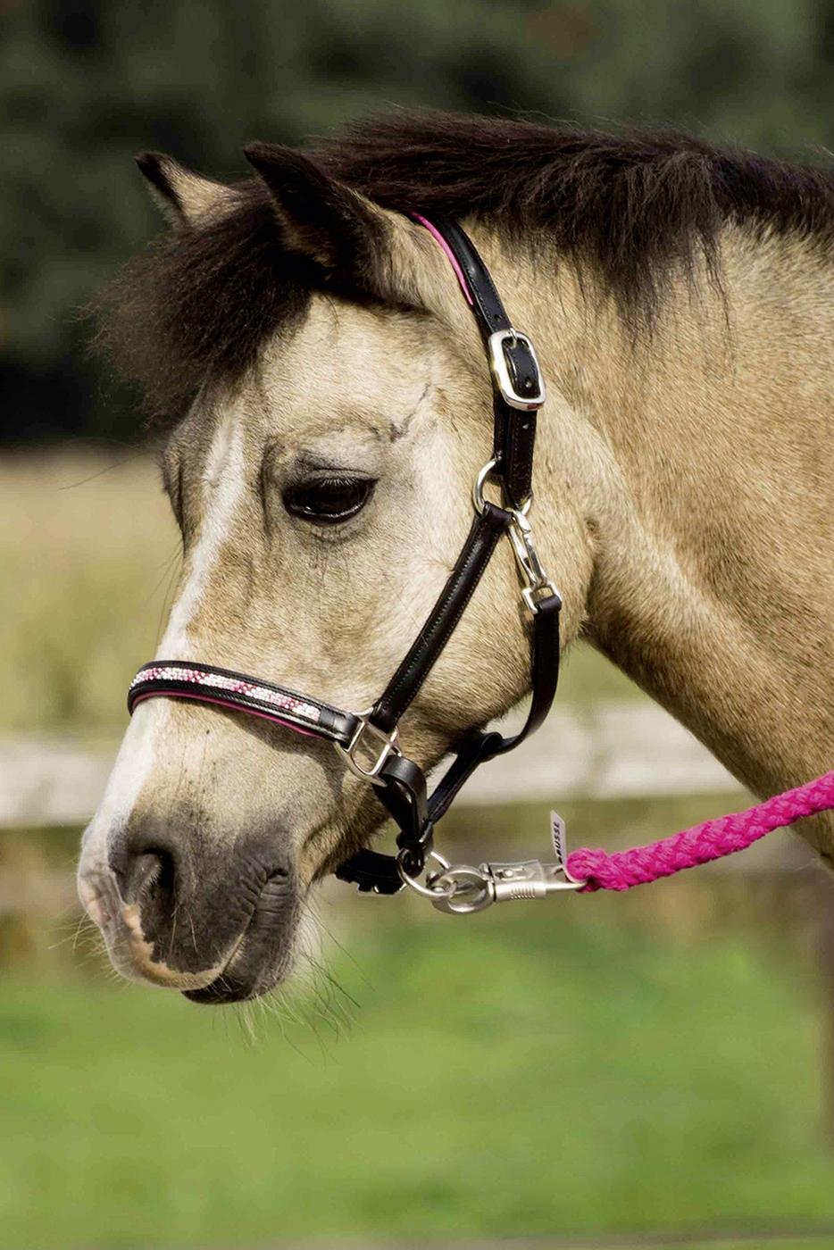 Busse Lederhalfter Nobility Pony schwarz/Strass-pink