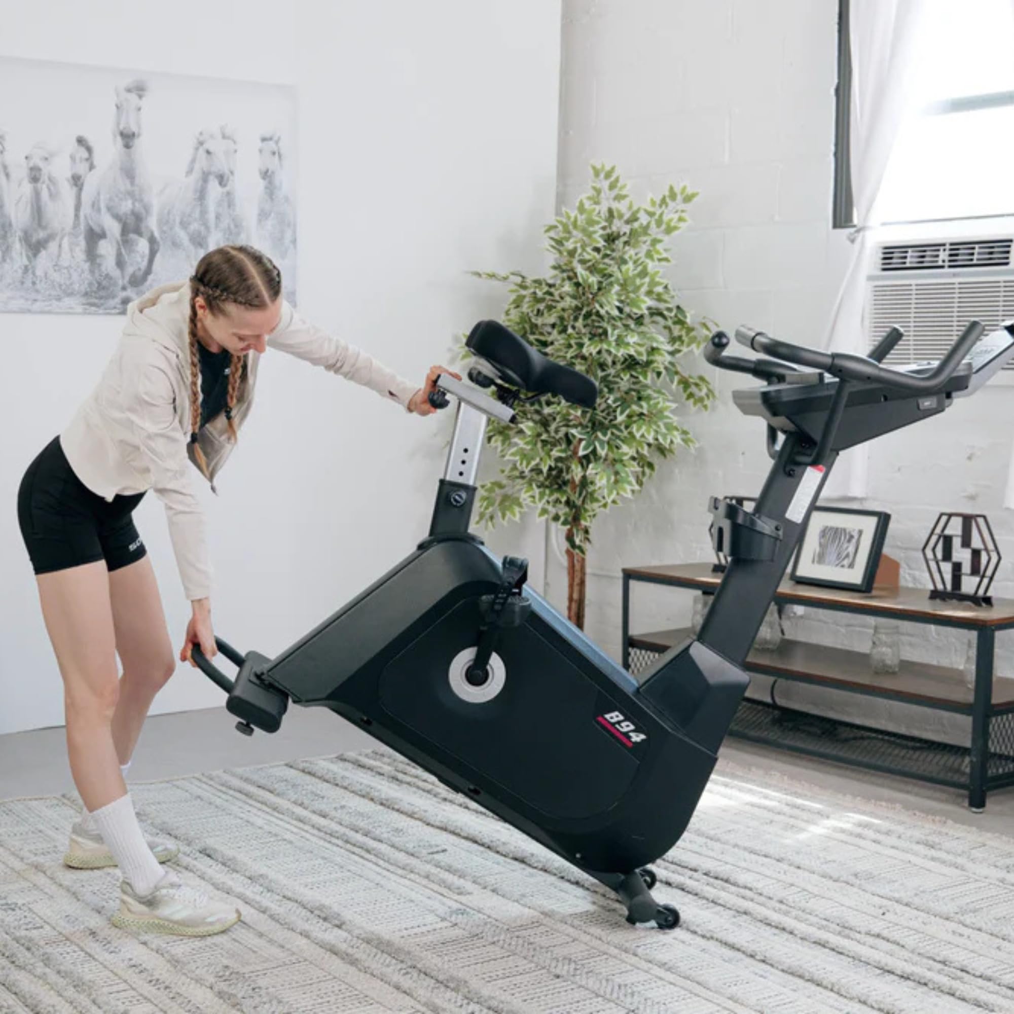 Home Gym Cardio Machines Sole Fitness Exercise Bikes - Upright