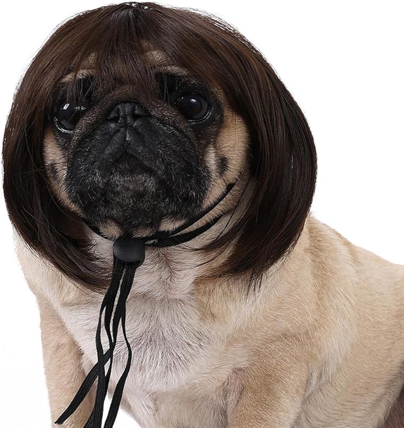 2 Pelucas para Perro y Gato Halloween Ropa Accesorio Mascotas miniatura 5