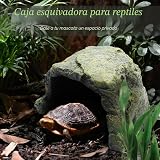 Ver la foto 3