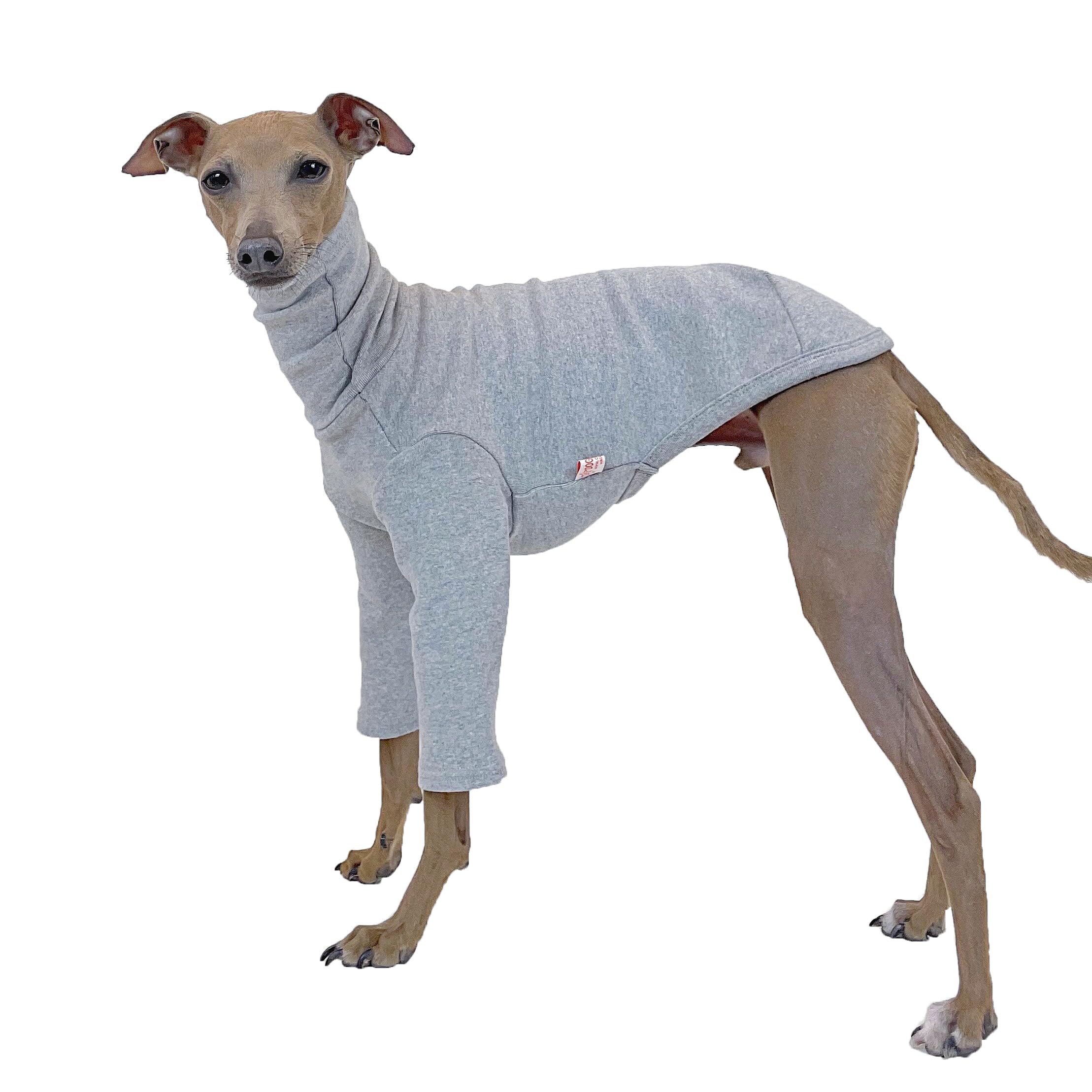 D Doggy Star Italian Greyhound Clothes Flexible T Shirts Whippet for Dogs (M,Solid Grey) โ image 1