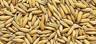 Malted Oats (Whole/Not Milled) 10 lbs