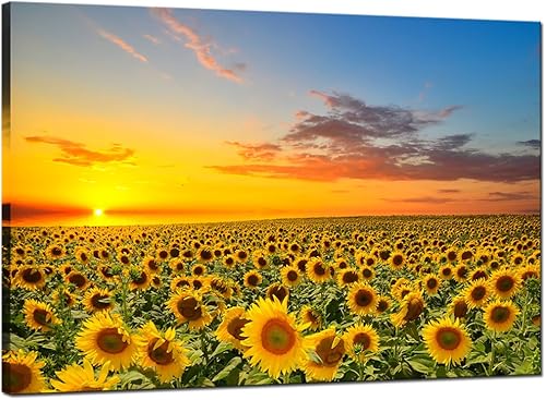 sechars Lienzo decorativo para pared, diseño de girasol, paisaje de campo, impresión moderna, decoración de sala de estar, enmarcado, listo para
