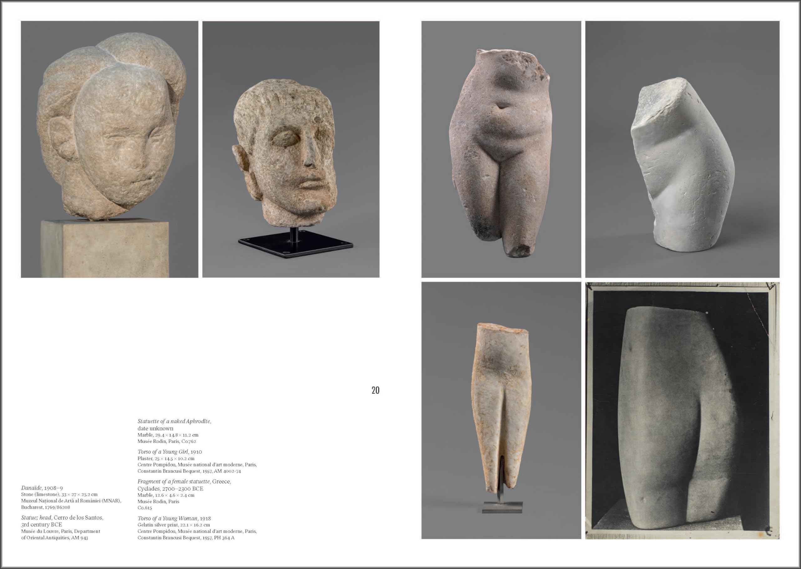Brancusi: (Published in conjunction with a major exhibition at the Centre Pompidou in Paris)