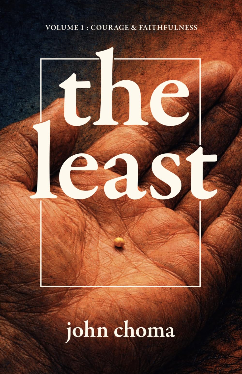 the least: Volume 1 — Courage and Faithfulness (the least – Volumes 1,2,3 & 4)