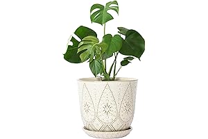 10 Inch Plant Pot: Nurture Your Greenery with Style and Ease