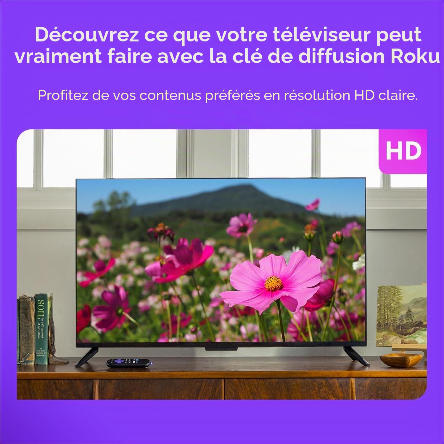 Roku Bâton de Diffusion en continu