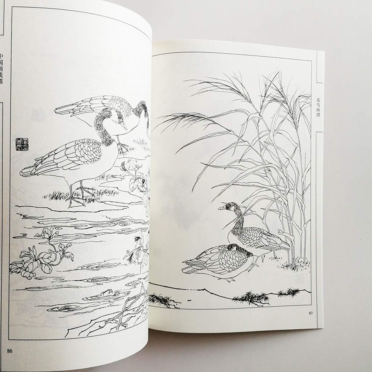 WellieSTR Chinese Painting Birds Paintings Art Book by Liu Qinfang Coloring Book for Adults Relaxation and Anti-Stress Painting Book