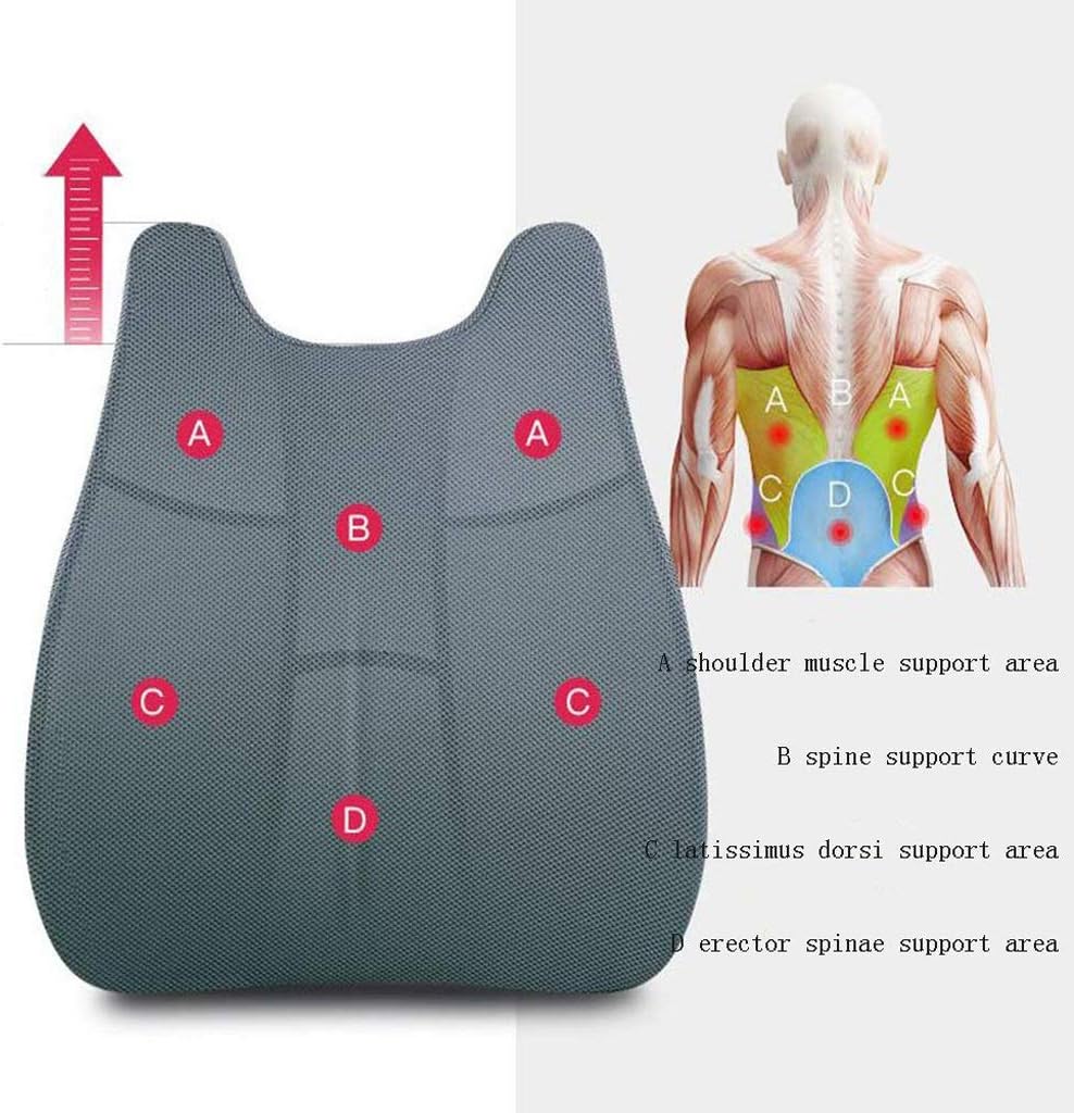 Lumbar Pillow - Memory Foam Lumbar Support Back Cushion with Back Pillow for Computer/Office Chair, Car Seat, Recliner(Black)