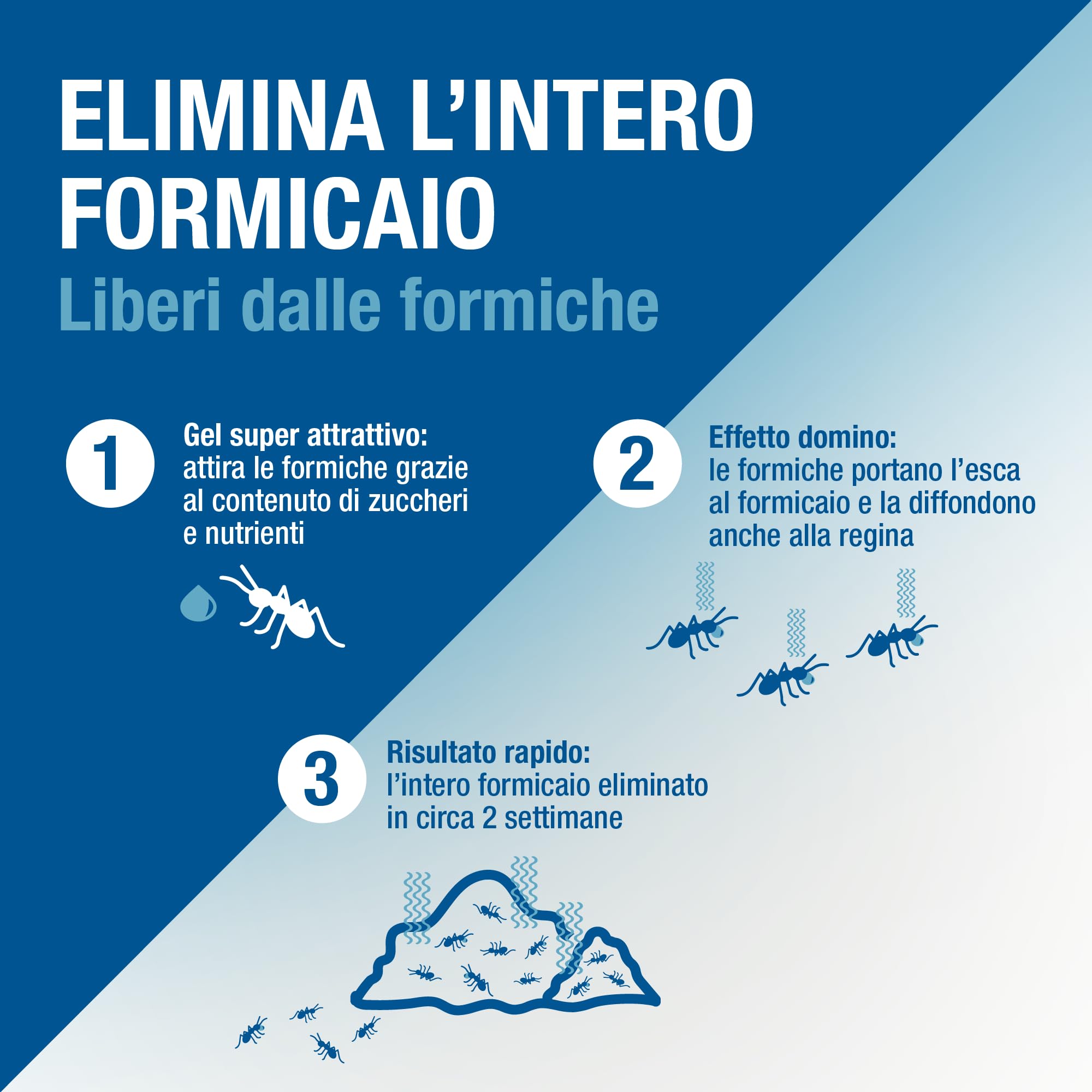 PROTECT HOME Forminix Tubetto Veleno per Formiche in Gel Pronto Uso 4g