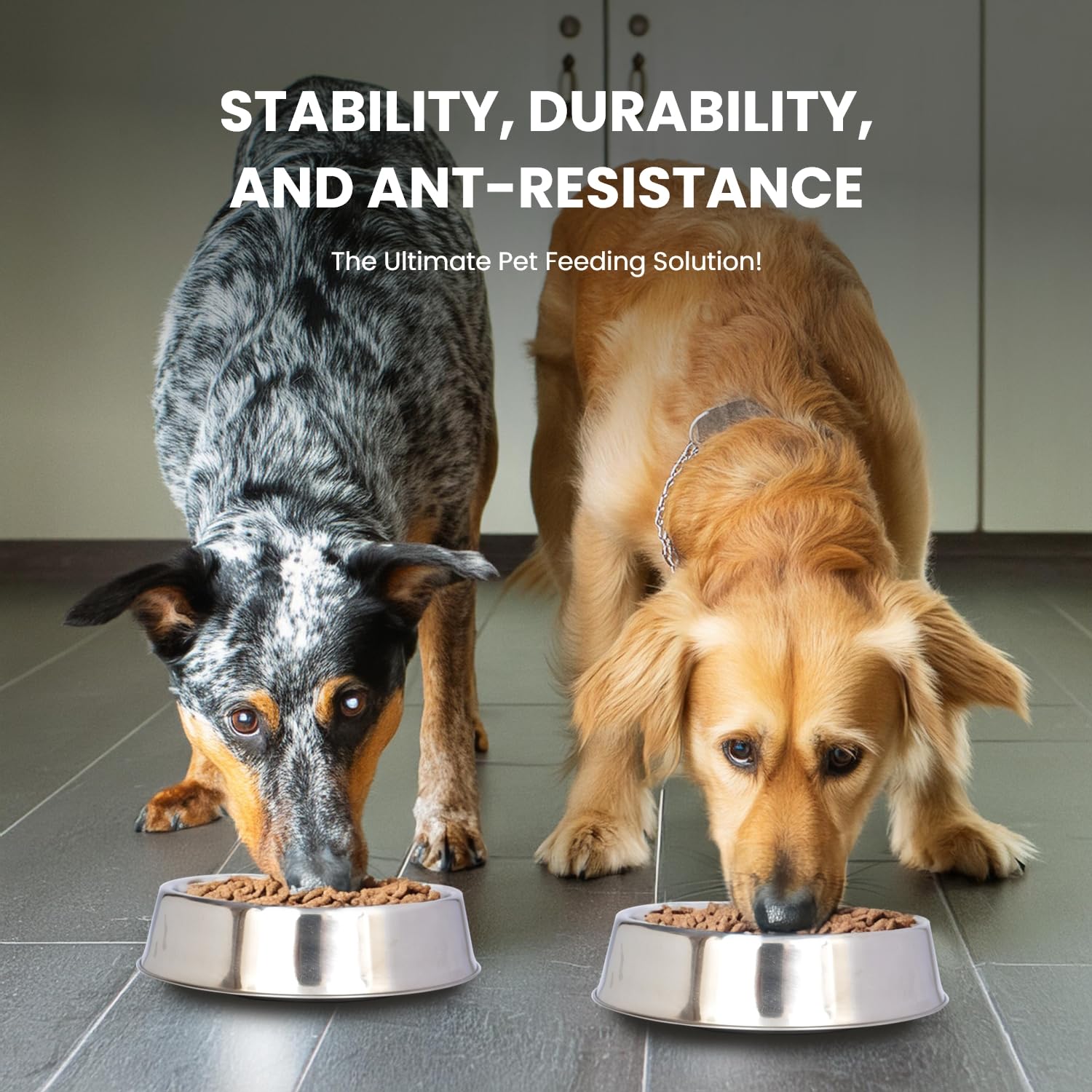 Iconic Pet Comedero para Perros/Gatos de Acero Inoxidable Antideslizante Silencioso Resistente a Hormigas con Diseño Único y Base de Goma