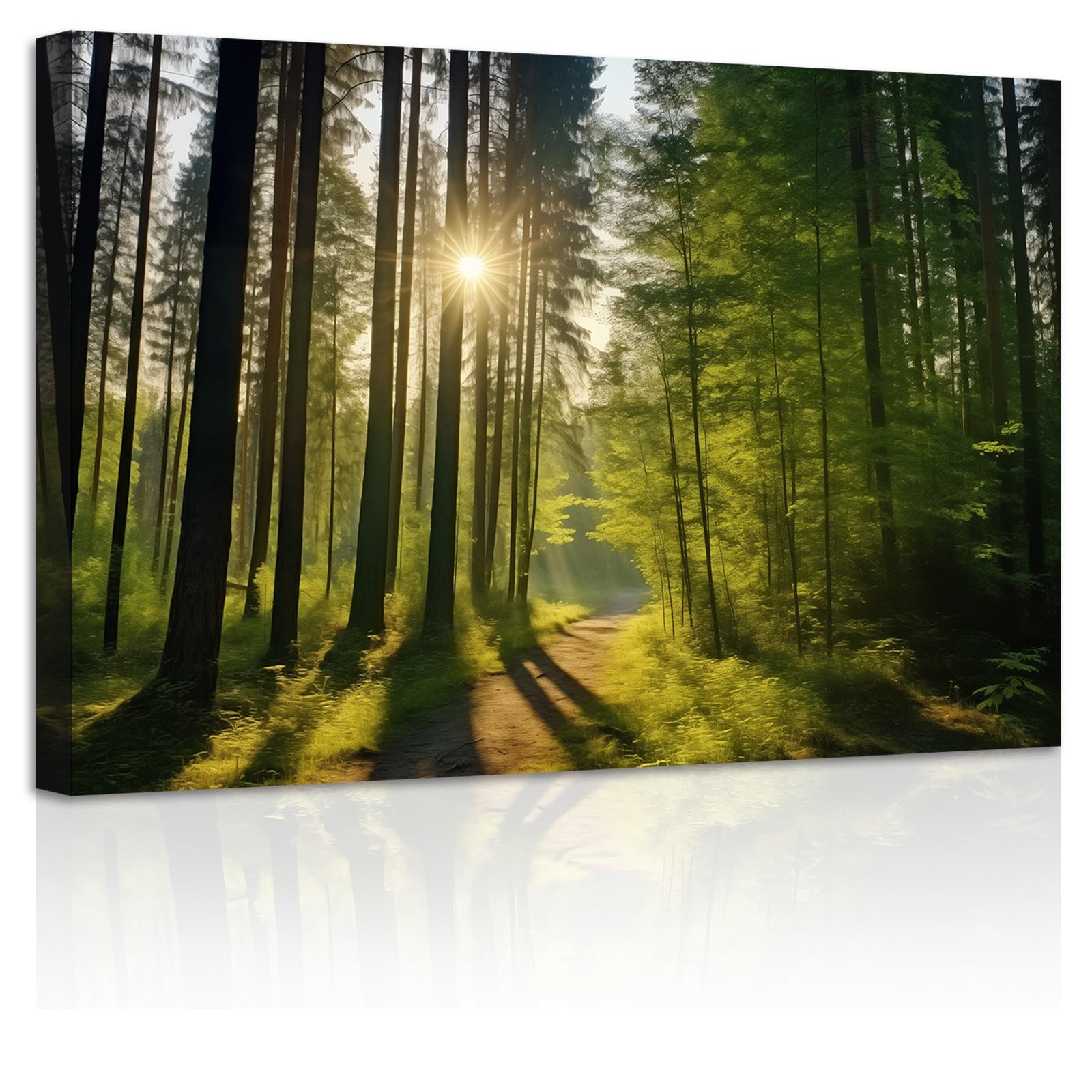 Amazon.co.jp: ZXHYWYM 緑の森 キャンバスウォールアート 森林の道を